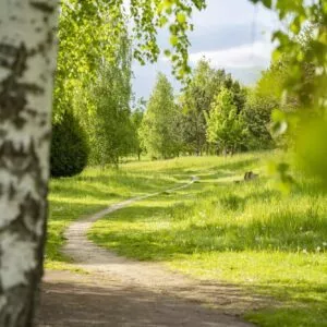 sainte savine aube (6)