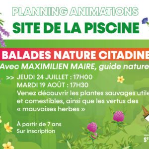 sortie nature citadine (1)