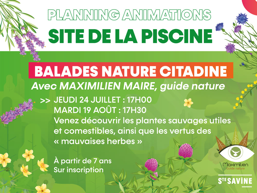 sortie nature citadine (1)