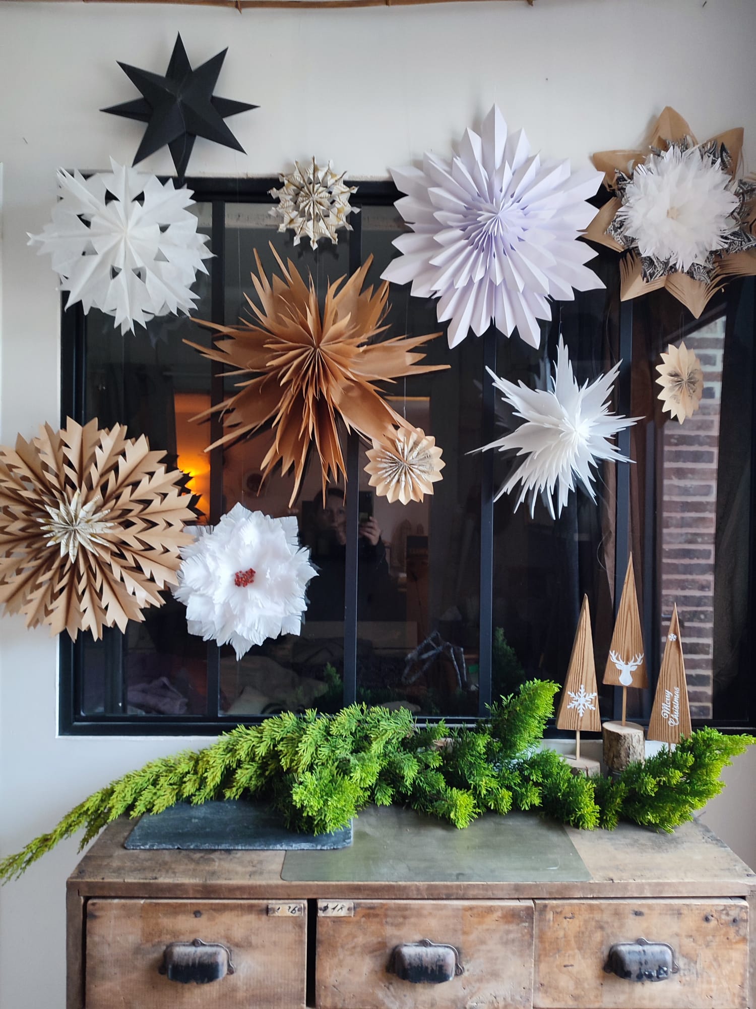 étoiles de noël