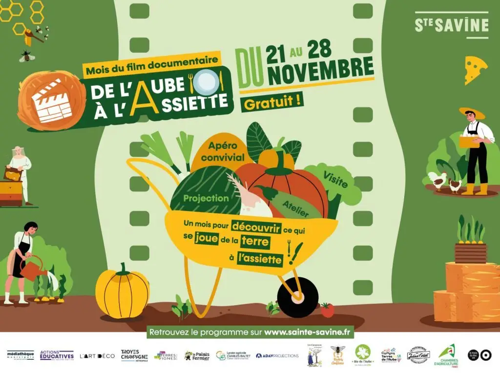 post mois du film doc